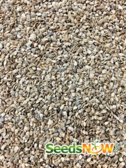 Tomato - Gardener's Delight/Sugar Lump (Indeterminate) -Speed now Tomato Gardener s Delight seeds 3