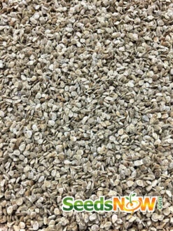 Tomato - Money Maker (Indeterminate) 19 Tomato - Money Maker (Indeterminate) -Speed now Tomato Money Maker seeds 3