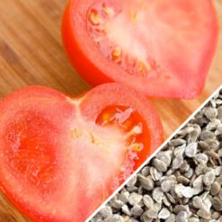 Tomato - Oxheart, Pink (Indeterminate) 14 Tomato - Oxheart, Pink (Indeterminate) -Speed now Tomato Oxheart Pink seeds