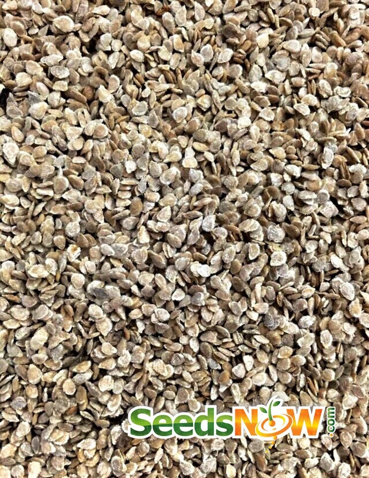 Tomato - Oxheart, Pink (Indeterminate) 9 Tomato - Oxheart, Pink (Indeterminate) - Image 8