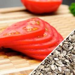 Tomato - VR Moscow (Determinate) 15 Tomato - VR Moscow (Determinate) -Speed now Tomato VR Moscow seeds now