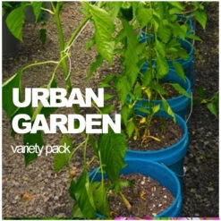 All-in-One Urban Garden Variety Pack