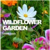 All-in-One Wildflower & Pollinator Scatter Garden Variety Pack 1 All-in-One Wildflower & Pollinator Scatter Garden Variety Pack -Speed now WILD