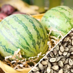 Watermelon - Sugarbaby -Speed now Watermelon Sugarbaby seeds