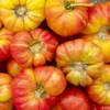 Tomato - Big Rainbow (Indeterminate) 1 Tomato - Big Rainbow (Indeterminate) -Speed now big rainbow tomato