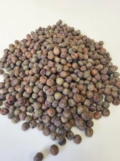 Sprouts/Microgreens - Pea, Brown Speckled -Speed now bsp