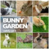 All-in-One Bunny Garden Variety Pack -Speed now buns