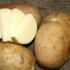 Potato (Early Season) - Cal White 2 Potato (Early Season) - Cal White -Speed now cal white