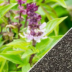 All-in-One Mosquito Repellent Garden Variety Pack 20 All-in-One Mosquito Repellent Garden Variety Pack - Image 19