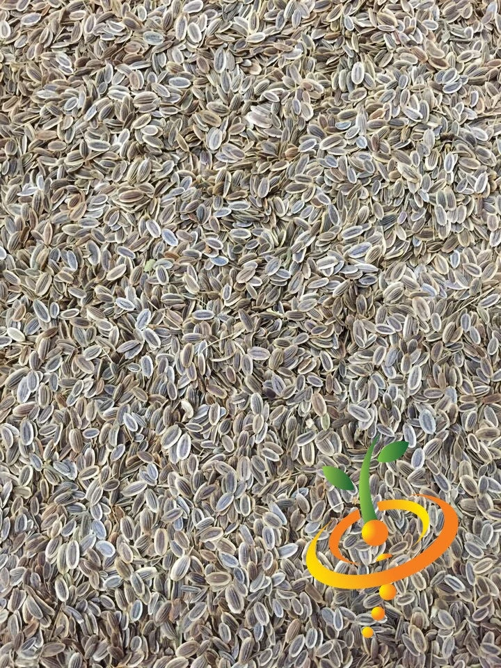 Dill - Bouquet 7 Dill - Bouquet - Image 5