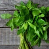 Epazote (Mexican Herb) 2 Epazote (Mexican Herb) -Speed now epazoteseeds
