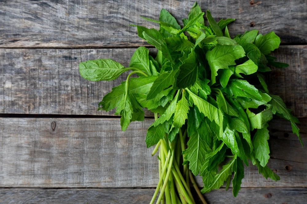 Epazote (Mexican Herb) 4 Epazote (Mexican Herb) - Image 2