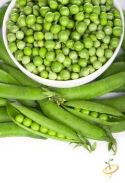 Pea - Green Arrow 7 Pea - Green Arrow -Speed now greenarrowpeas