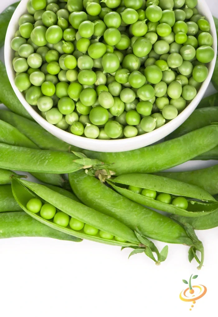 Pea - Green Arrow 5 Pea - Green Arrow - Image 3