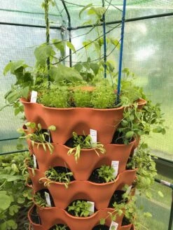 All-in-One Tower Garden Variety Pack -Speed now image1 9