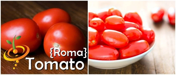 Tomato - Roma (Determinate) 7 Tomato - Roma (Determinate) - Image 5