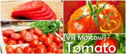 Tomato - VR Moscow (Determinate) 14 Tomato - VR Moscow (Determinate) -Speed now page 1d4c2f3e 25b4 4223 be84 c78e8cf14686