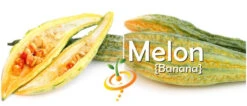 Melon - Banana -Speed now page 25fd7475 2ccc 4675 aaf1 00210b8e6a92