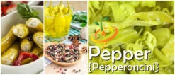 Pepper (Hot) - Pepperoncini 🔥 -Speed now page 8c22b5a9 ddbe 400a 86c3 a8aee41811e8