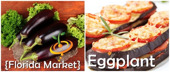 Eggplant - Florida Market 9 Eggplant - Florida Market - Image 7