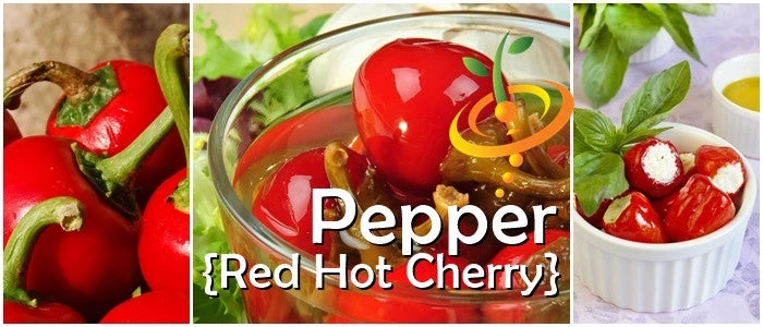 Pepper (Hot) - Cherry, Red π₯π₯ 8 Pepper (Hot) - Cherry, Red π₯π₯ - Image 6