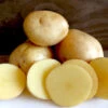 Potato (Late-Season) - Jelly -Speed now product 64922 1559409617 OLM100MT