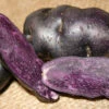 Potato, Fingerling (Late-Season) - Peruvian Purple Magic 1 Potato, Fingerling (Late-Season) - Peruvian Purple Magic -Speed now purple peruvian Potato seeds