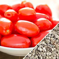 Tomato - Roma (Determinate) 8 Tomato - Roma (Determinate) - Image 6