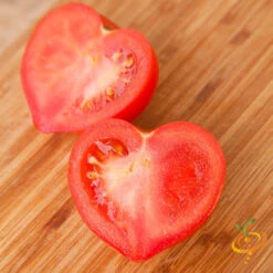 Tomato - Oxheart, Pink (Indeterminate) 12 Tomato - Oxheart, Pink (Indeterminate) -Speed now shutterstock 100859758