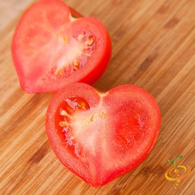Tomato - Oxheart, Pink (Indeterminate) 2 Tomato - Oxheart, Pink (Indeterminate)