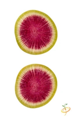 Radish - Watermelon -Speed now shutterstock 123961951