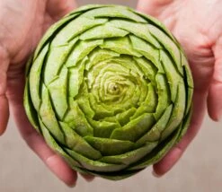 Artichoke - Green Globe 14 Artichoke - Green Globe -Speed now shutterstock 127312439