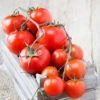 Tomato - Money Maker (Indeterminate) -Speed now shutterstock 136928345 700x ad2682c5 2e0d 4561 bf41 f94517e24d9a