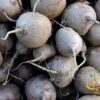 Radish - Purple Plum 1 Radish - Purple Plum -Speed now shutterstock 137331587 700x 7cb04c8f 7337 407e 97c1 5f5c4373049c