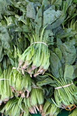 Spinach - America -Speed now shutterstock 141482317