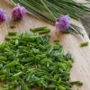 Chives 1 Chives -Speed now shutterstock 146220857