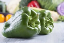 All-in-One Salsa Garden Variety Pack -Speed now shutterstock 150114665