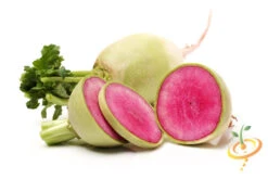 Radish - Watermelon -Speed now shutterstock 166946006