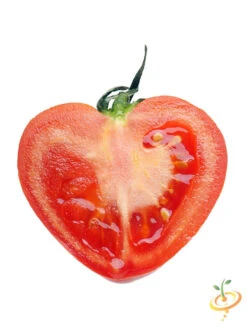Tomato - Oxheart, Pink (Indeterminate) 11 Tomato - Oxheart, Pink (Indeterminate) -Speed now shutterstock 171319031