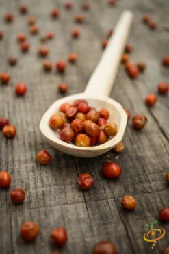 Pepper (Hot) - Tepin 🔥🔥🔥 10 Pepper (Hot) - Tepin 🔥🔥🔥 -Speed now shutterstock 171508061