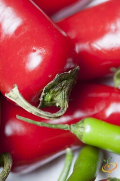 Pepper (Hot) - Thai π₯π₯π₯ 10 Pepper (Hot) - Thai π₯π₯π₯ -Speed now shutterstock 174482786