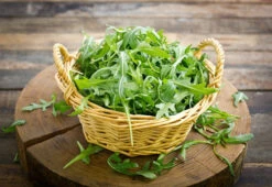 Arugula - Roquette (Rocket) -Speed now shutterstock 179440511