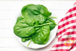 Spinach - Matador Viking 13 Spinach - Matador Viking -Speed now shutterstock 192560558