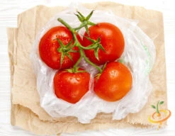 Tomato - Money Maker (Indeterminate) 15 Tomato - Money Maker (Indeterminate) -Speed now shutterstock 197638301