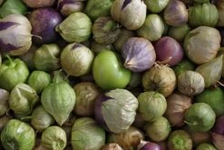 All-in-One Salsa Garden Variety Pack -Speed now shutterstock 209243200