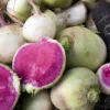 Radish - Watermelon 1 Radish - Watermelon -Speed now shutterstock 45890116 700x f9d3fd29 8060 453f 862b b461d19c7aef