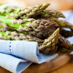 Asparagus - Mary Washington (Seeds) -Speed now shutterstock 81541360