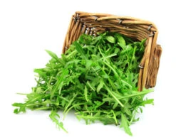 Arugula - Roquette (Rocket) -Speed now shutterstock 99193040