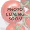 Tomato - Oxheart, Orange (Indeterminate) 2 Tomato - Oxheart, Orange (Indeterminate) -Speed now soon