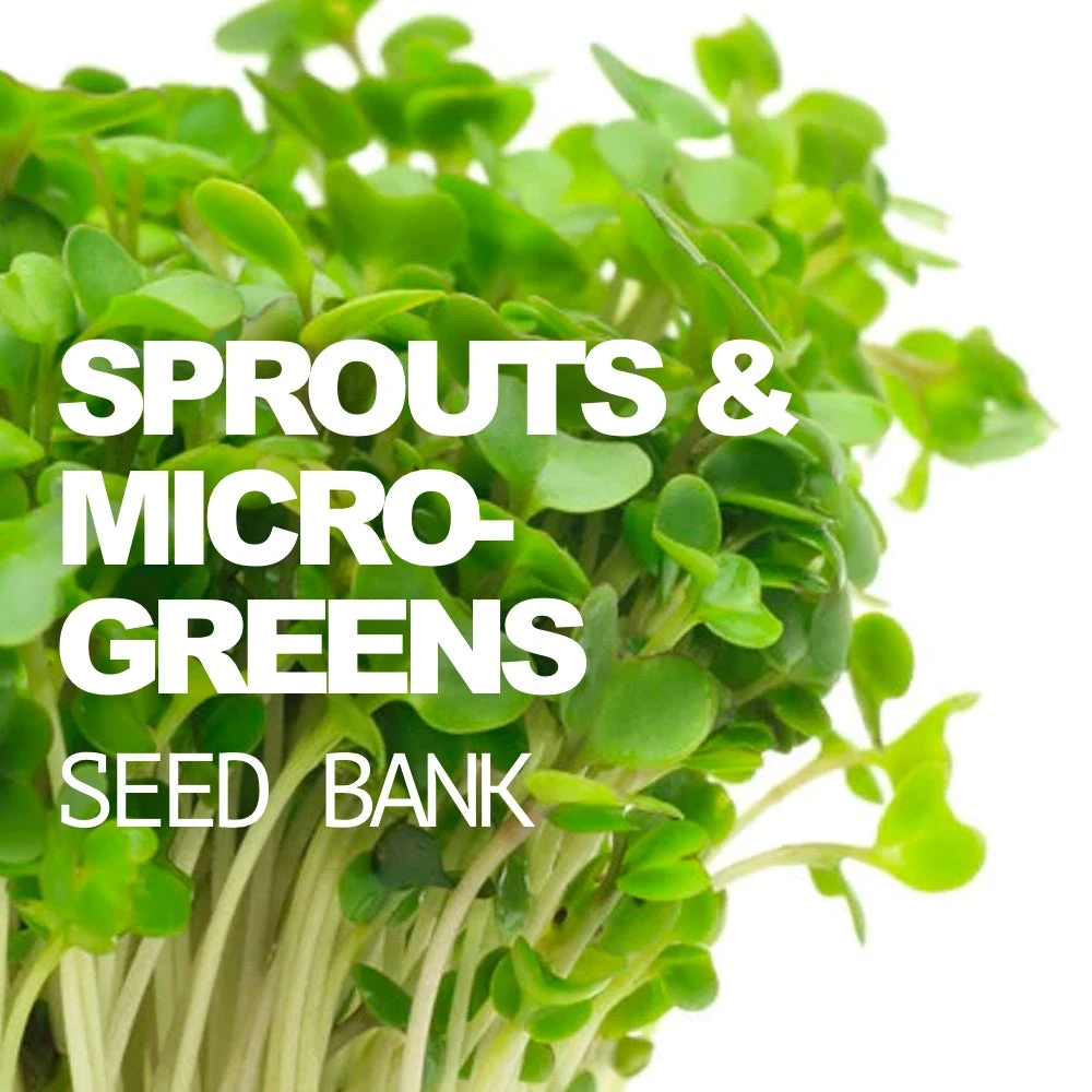 All-in-One Sprouts/Microgreens Seed Bank W/Sprouting Jar 3 All-in-One Sprouts/Microgreens Seed Bank W/Sprouting Jar